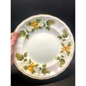 Kensington Staffordshire Ironstone England Dinner Plates SUSSEX R3027